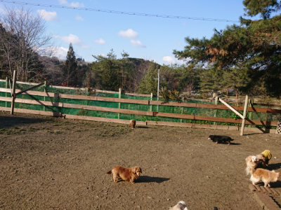 f:id:roukenhome-ann:20190126124306j:plain