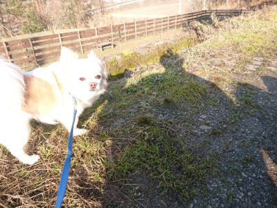f:id:roukenhome-ann:20190126124313j:plain