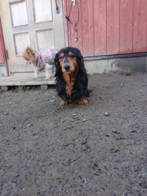 f:id:roukenhome-ann:20190126125328j:plain