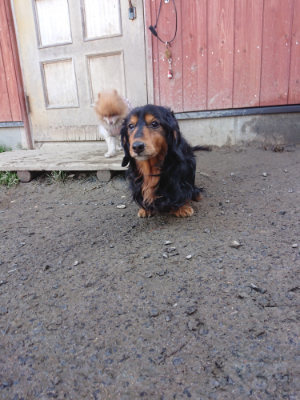 f:id:roukenhome-ann:20190126125530j:plain