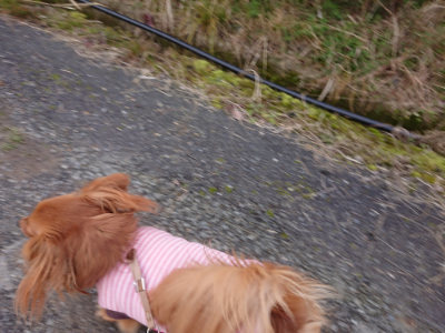 f:id:roukenhome-ann:20190126135633j:plain