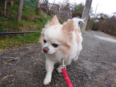 f:id:roukenhome-ann:20190126135705j:plain