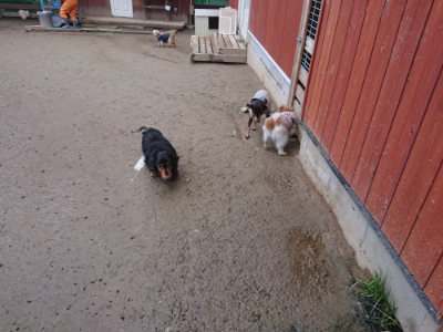 f:id:roukenhome-ann:20190127073405j:plain