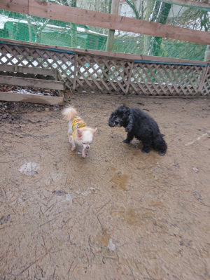 f:id:roukenhome-ann:20190127073451j:plain