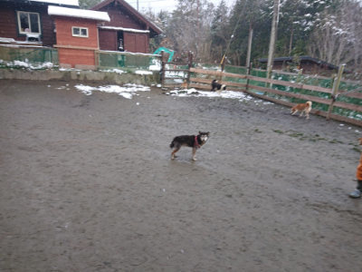 f:id:roukenhome-ann:20190127073458j:plain