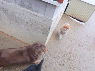 f:id:roukenhome-ann:20190127073508j:plain