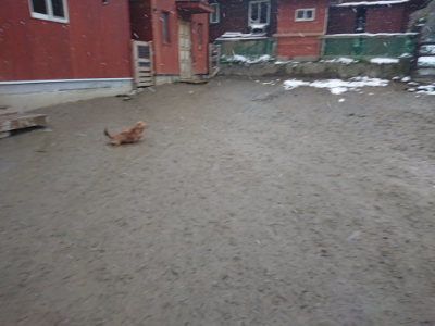 f:id:roukenhome-ann:20190127073531j:plain
