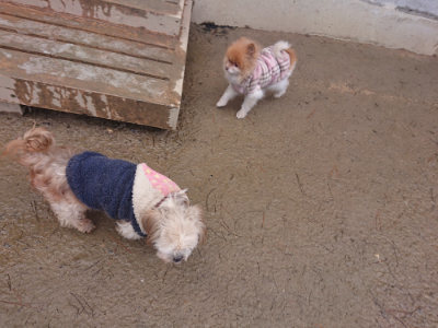 f:id:roukenhome-ann:20190127073541j:plain