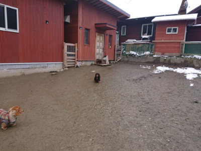 f:id:roukenhome-ann:20190127073919j:plain