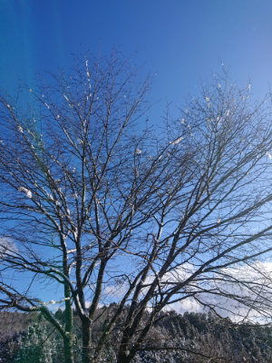 f:id:roukenhome-ann:20190127073941j:plain