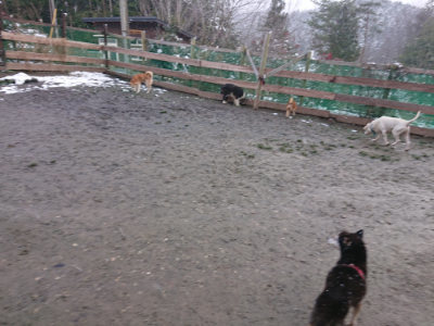 f:id:roukenhome-ann:20190127073958j:plain