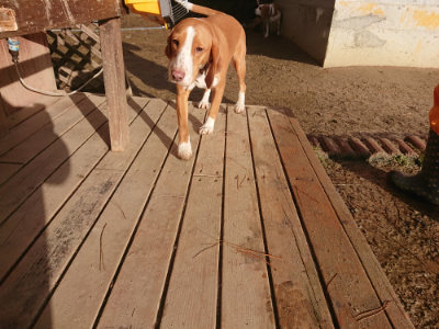 f:id:roukenhome-ann:20190127074035j:plain