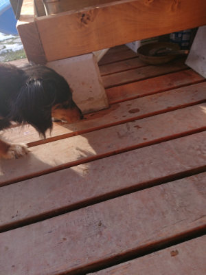 f:id:roukenhome-ann:20190127074040j:plain