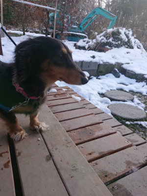 f:id:roukenhome-ann:20190127074116j:plain