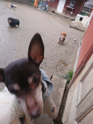 f:id:roukenhome-ann:20190127074138j:plain