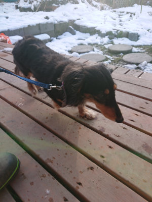 f:id:roukenhome-ann:20190127074153j:plain