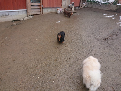 f:id:roukenhome-ann:20190127074203j:plain