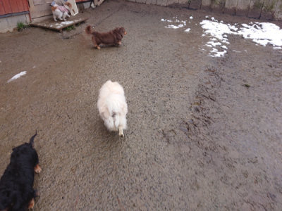 f:id:roukenhome-ann:20190127074208j:plain