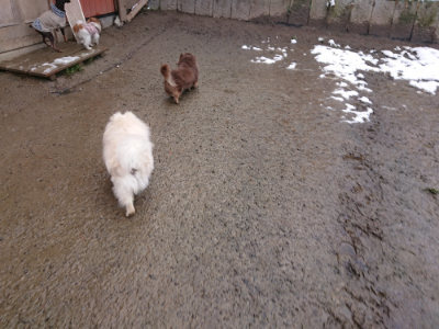 f:id:roukenhome-ann:20190127074214j:plain