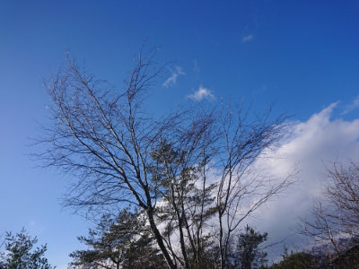 f:id:roukenhome-ann:20190127074225j:plain