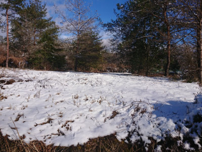 f:id:roukenhome-ann:20190127074233j:plain