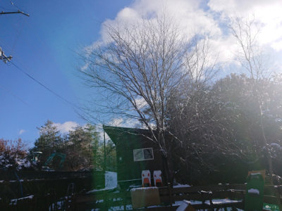 f:id:roukenhome-ann:20190127074608j:plain