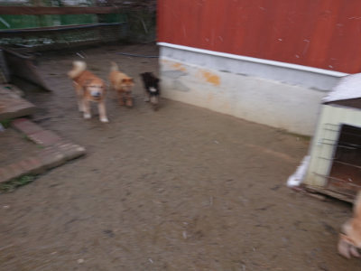 f:id:roukenhome-ann:20190127074639j:plain