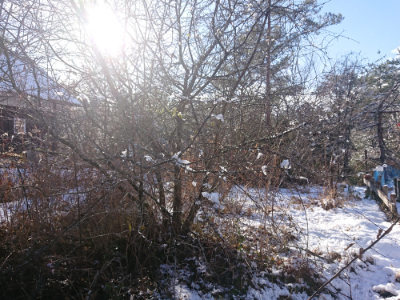 f:id:roukenhome-ann:20190127074650j:plain