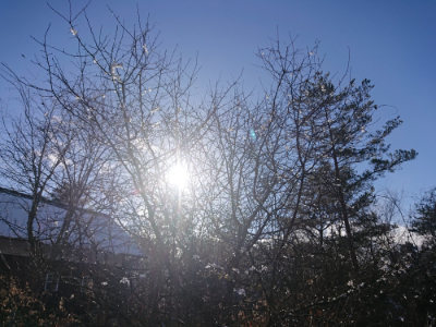 f:id:roukenhome-ann:20190127074715j:plain