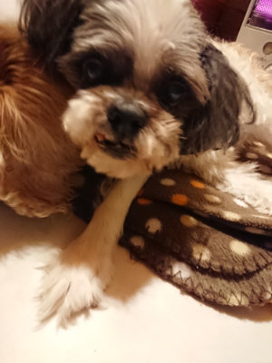 f:id:roukenhome-ann:20190127124250j:plain