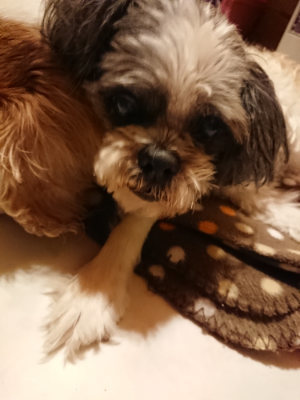 f:id:roukenhome-ann:20190127124254j:plain