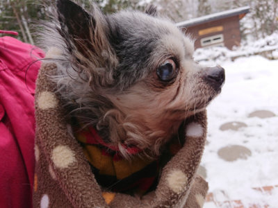f:id:roukenhome-ann:20190127124310j:plain