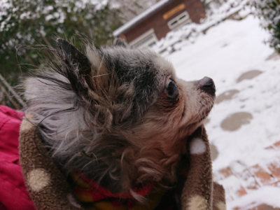 f:id:roukenhome-ann:20190127124312j:plain