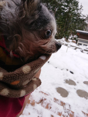 f:id:roukenhome-ann:20190127124323j:plain