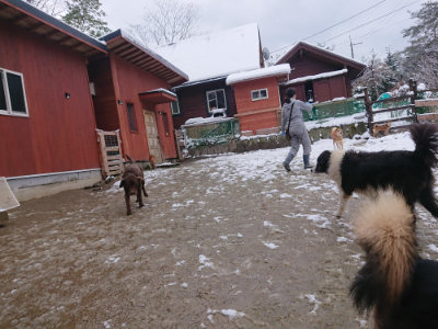 f:id:roukenhome-ann:20190127130438j:plain