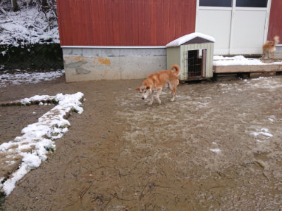 f:id:roukenhome-ann:20190127130443j:plain