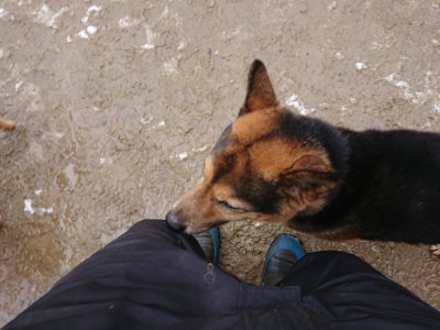 f:id:roukenhome-ann:20190127130512j:plain