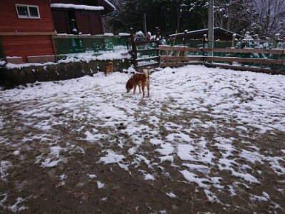 f:id:roukenhome-ann:20190127130550j:plain