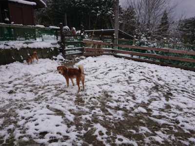 f:id:roukenhome-ann:20190127130636j:plain