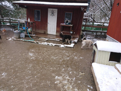 f:id:roukenhome-ann:20190127130659j:plain