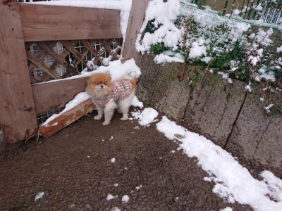 f:id:roukenhome-ann:20190127130742j:plain