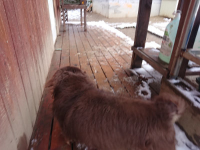 f:id:roukenhome-ann:20190127130811j:plain