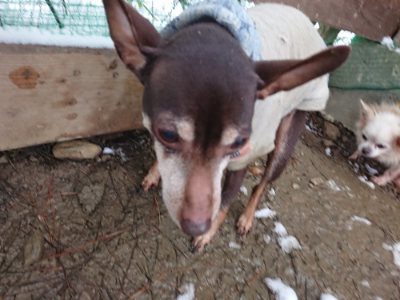 f:id:roukenhome-ann:20190127130846j:plain