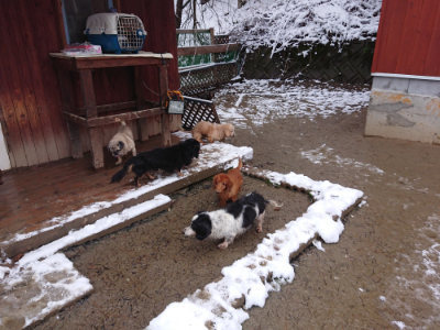 f:id:roukenhome-ann:20190127130906j:plain