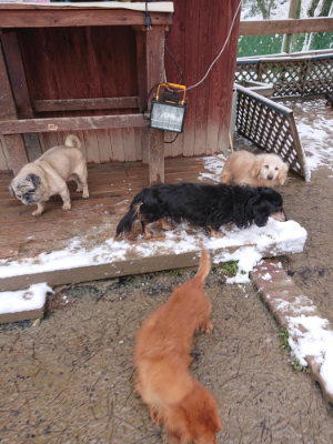 f:id:roukenhome-ann:20190127130948j:plain