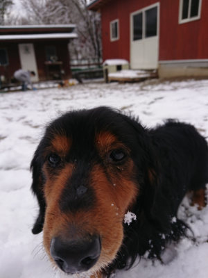 f:id:roukenhome-ann:20190127131052j:plain