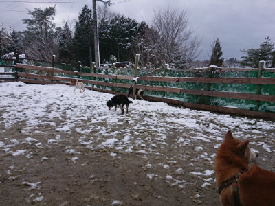f:id:roukenhome-ann:20190127131118j:plain