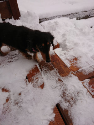 f:id:roukenhome-ann:20190127131132j:plain