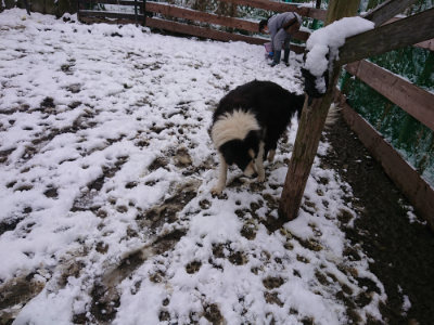 f:id:roukenhome-ann:20190127131201j:plain