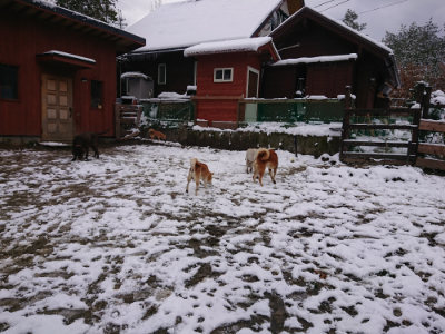 f:id:roukenhome-ann:20190127131241j:plain